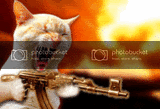 warkitty.gif