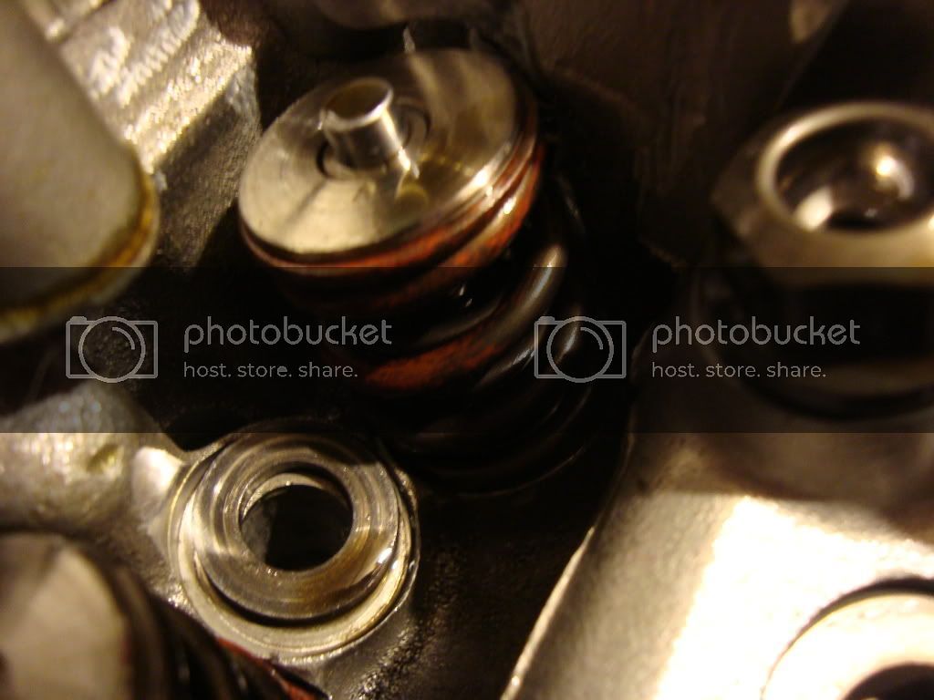 DSC00685.jpg