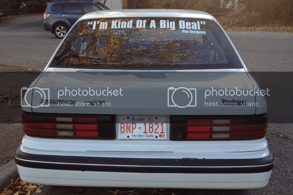 IMG_3274_zps9d2140bd.png