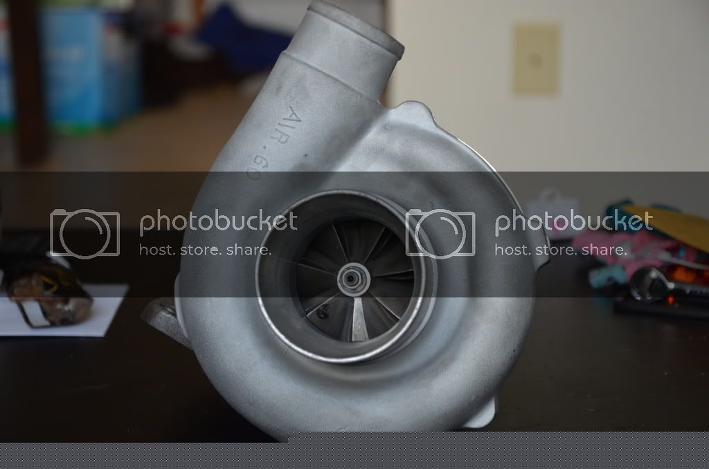TFS_8928.jpg