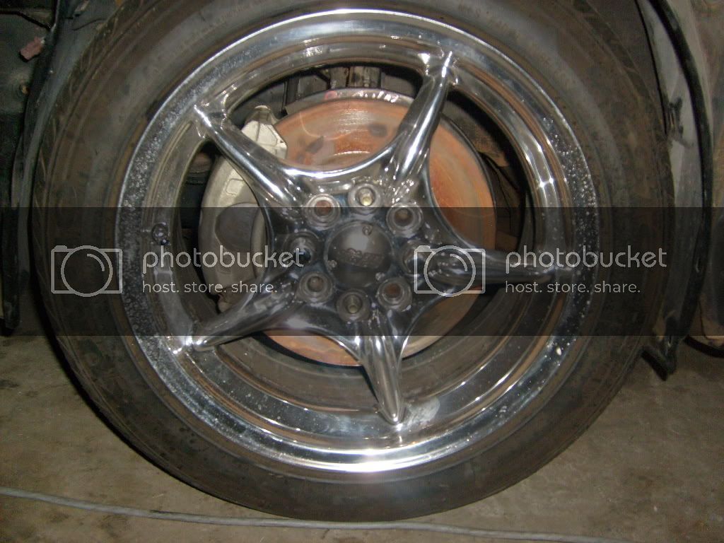 S6300681.jpg