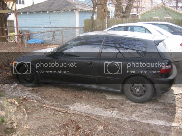 mypicz219.jpg