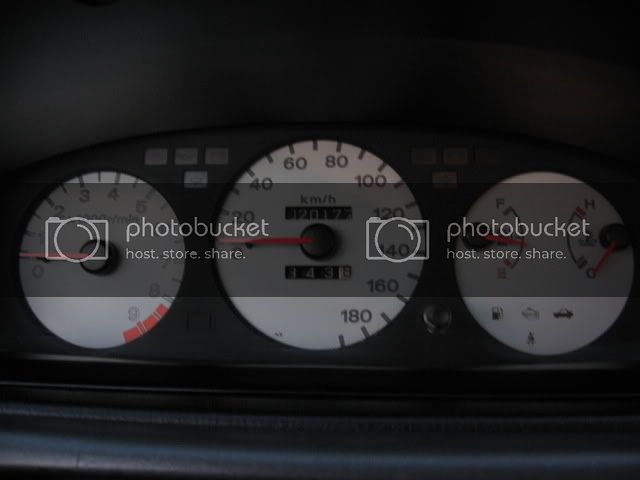 Picture033.jpg