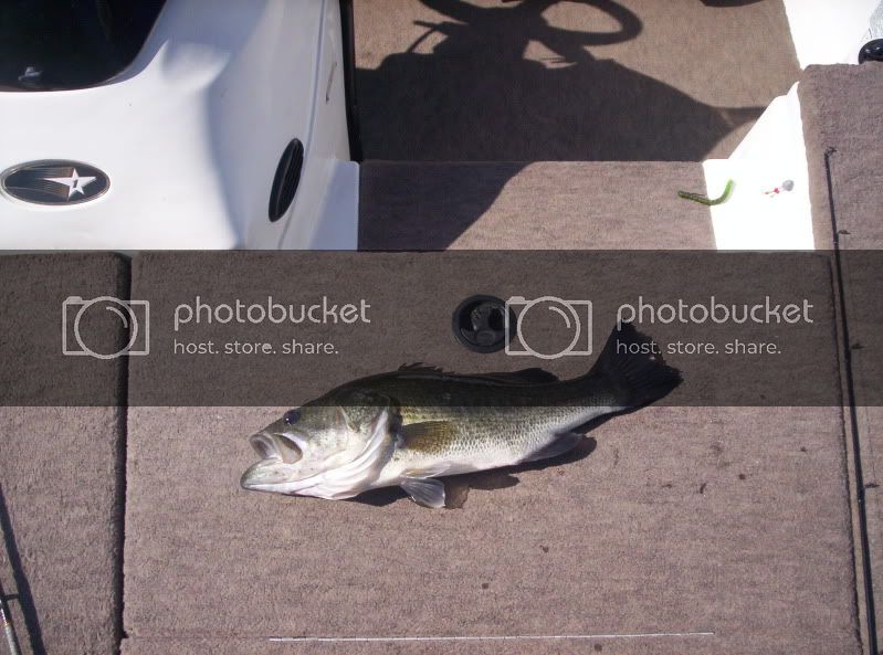dadbass6.jpg