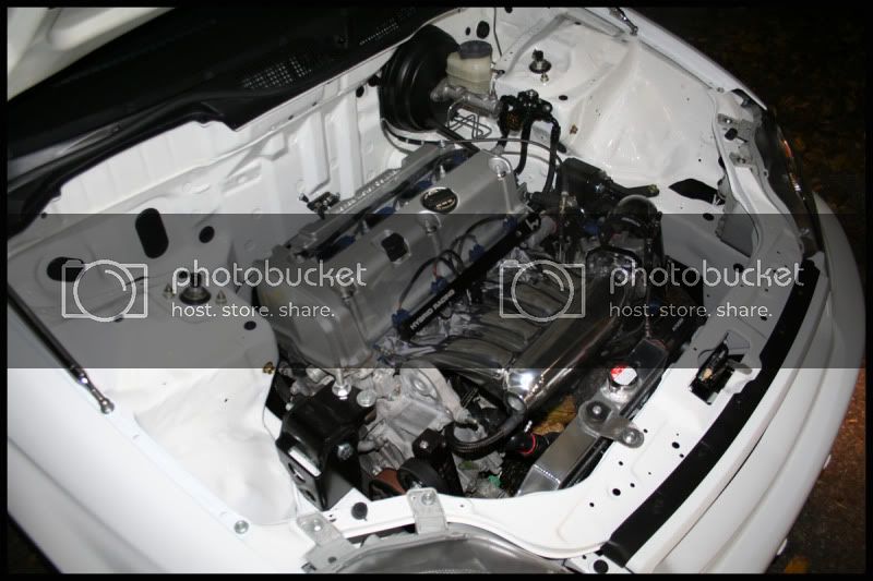 IMG_7774copy.jpg