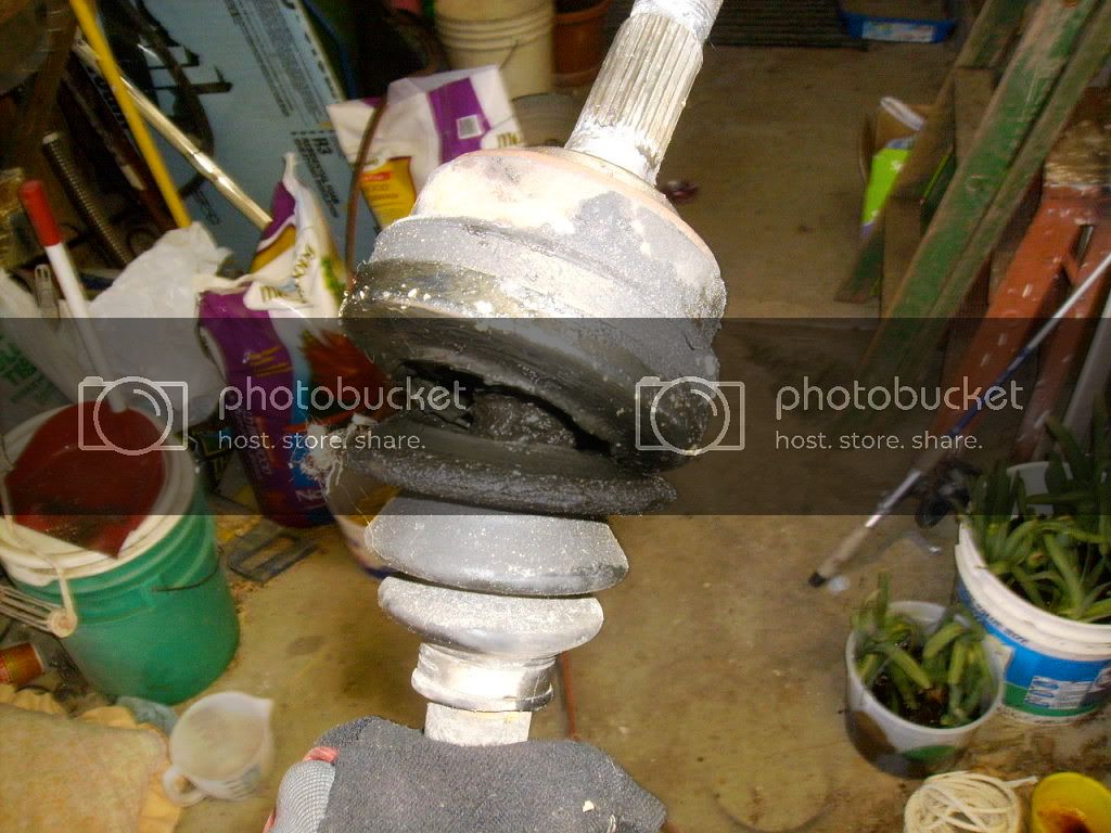 SANY0180.jpg