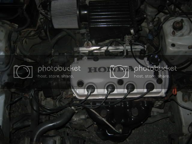 Picture010-1.jpg