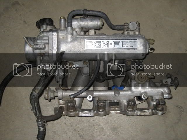 ef9019.jpg