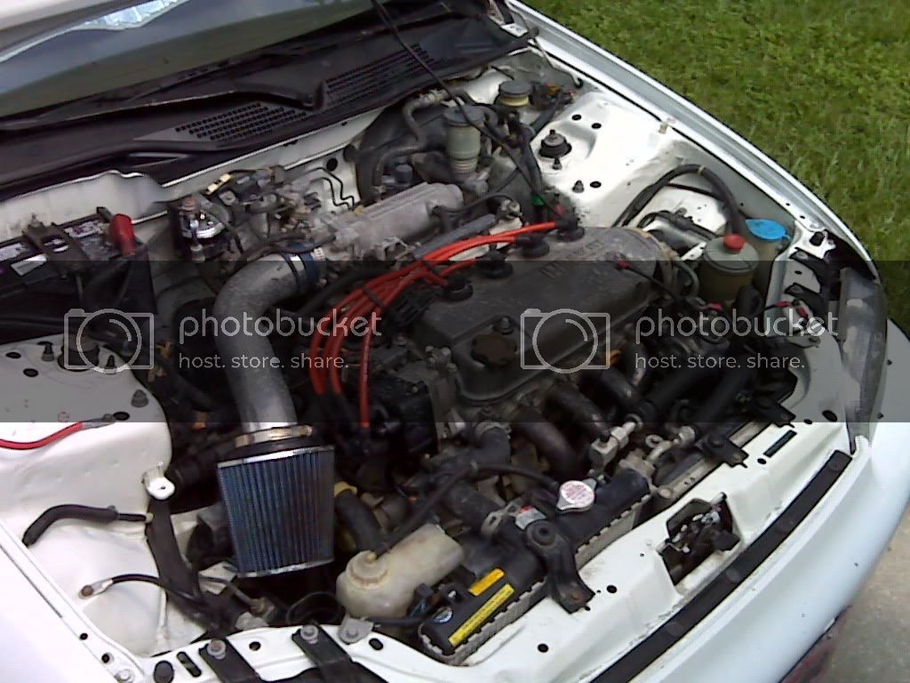 IMG00012.jpg