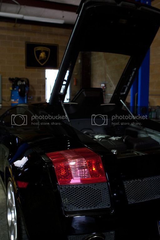 lamborear_zpsd700e3ad.jpg