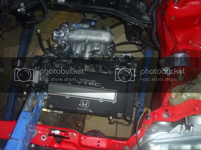 SUC51034.jpg
