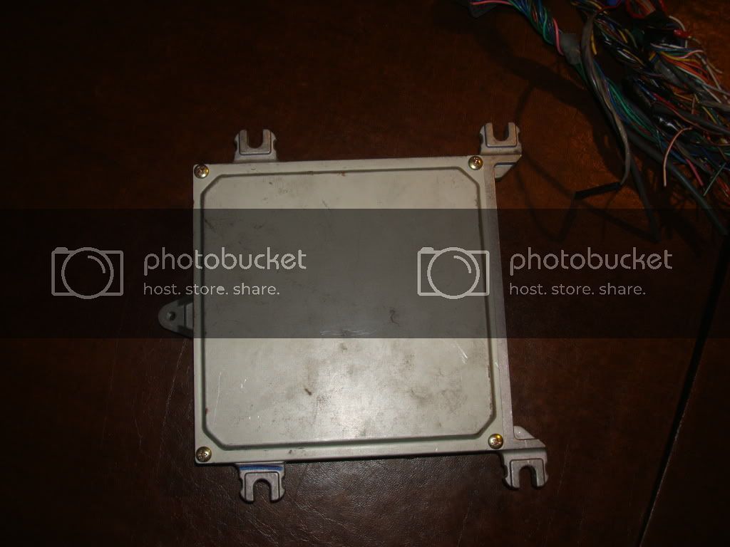 DSC01482-1.jpg