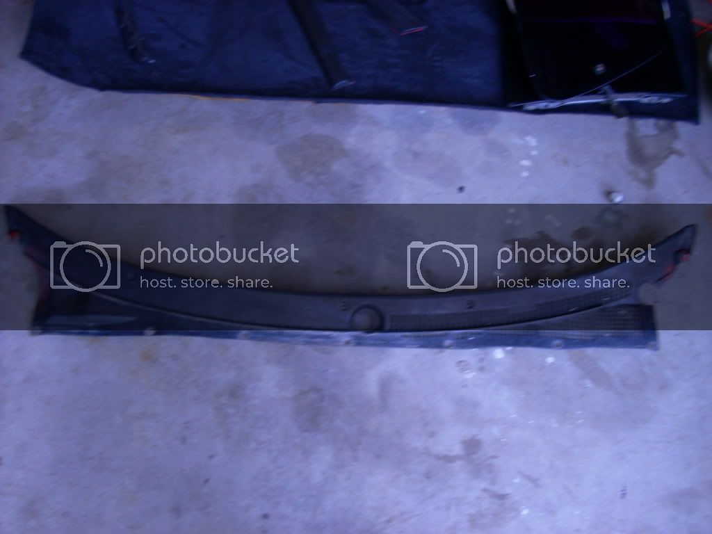 DSCN1504.jpg