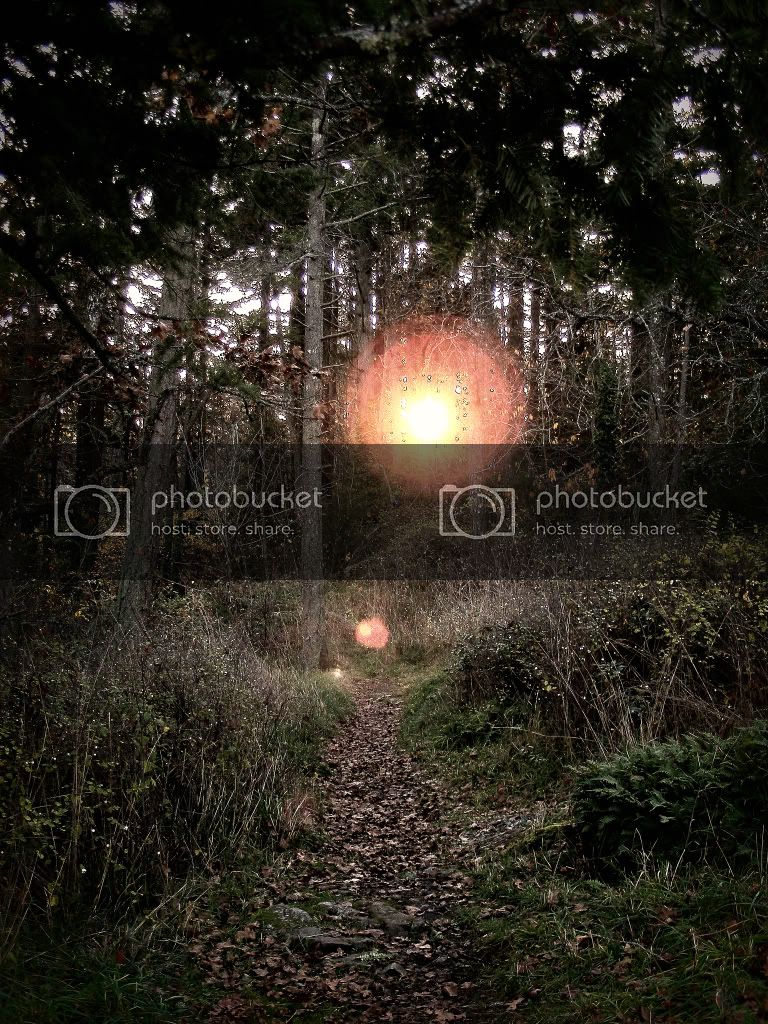 DSCF4563.jpg