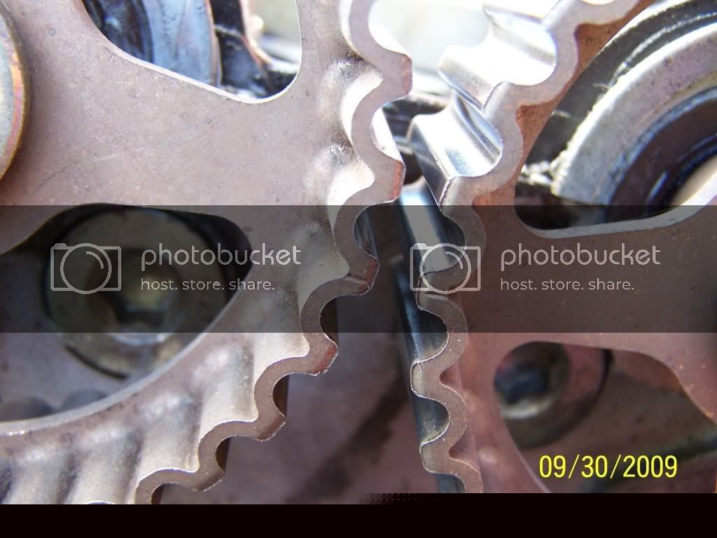 1254339695.jpg