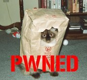 180px-Pwned_cat1.jpg