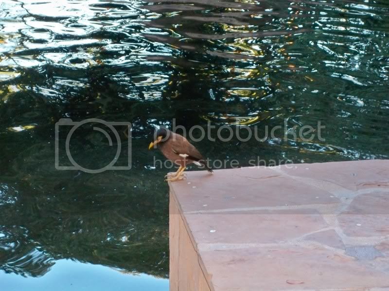 100_0050.jpg