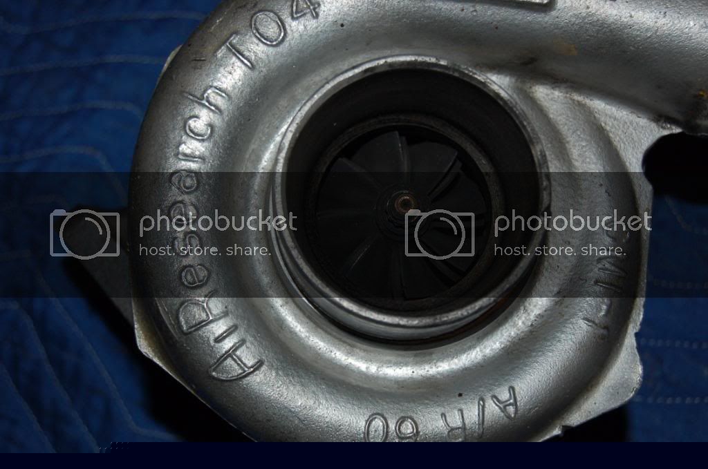 DSC_8602.jpg