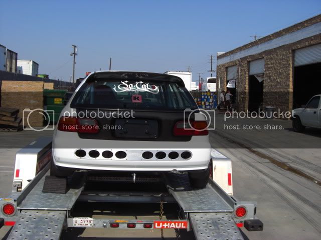 CIMG1246.jpg