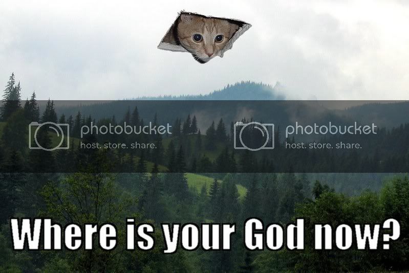 catgod.jpg