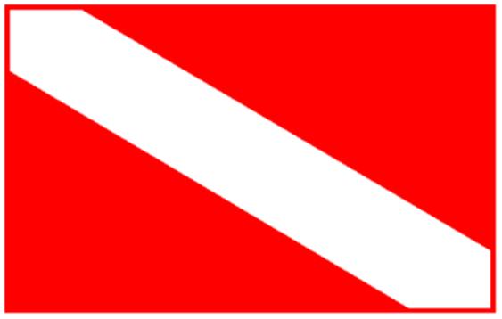 Scuba-Diving-Flag.jpg