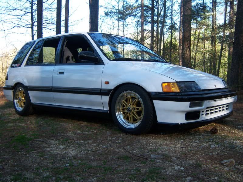 whiteandgoldsex012.jpg