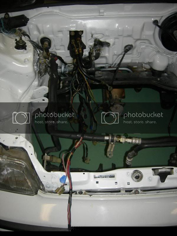 wires2.jpg