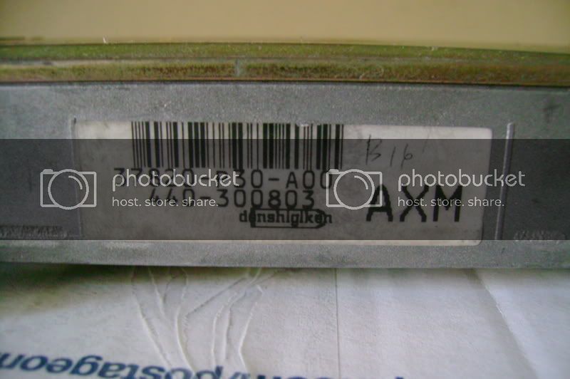 USDMp302.jpg
