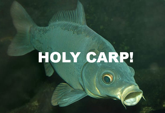 holycarp.jpg