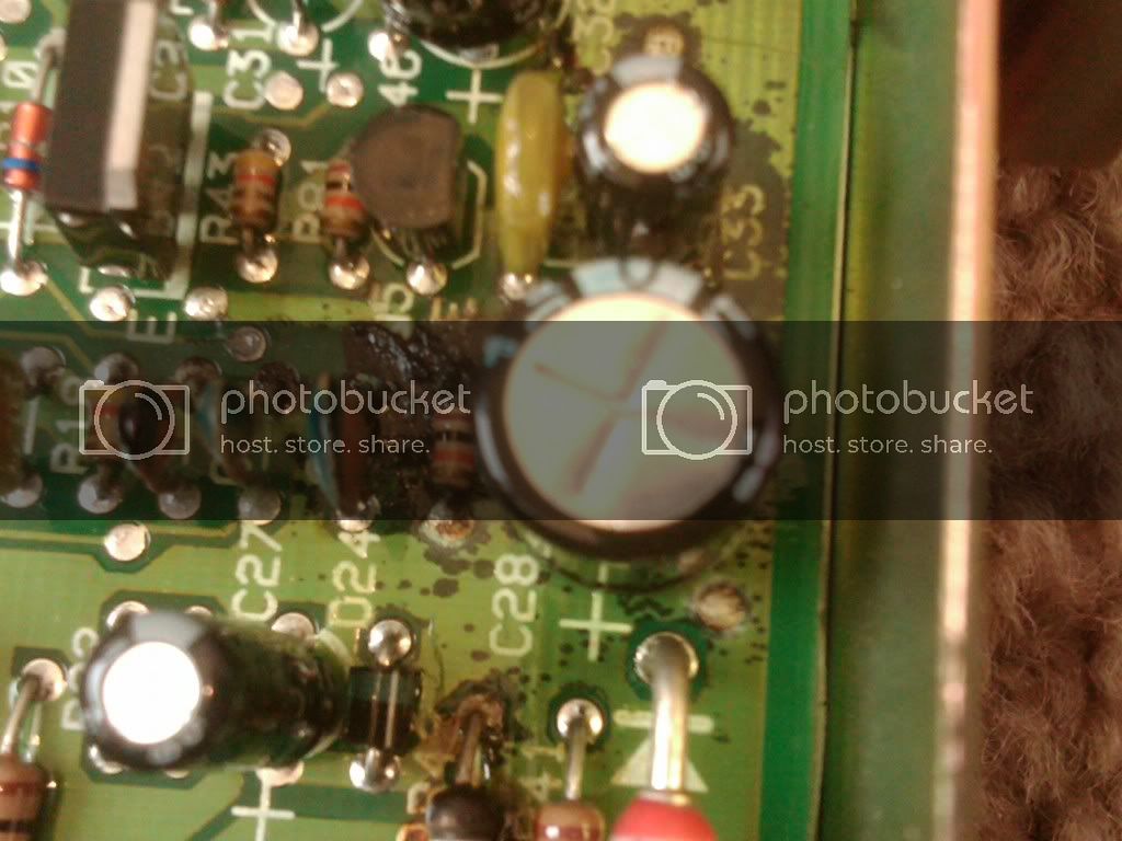 IMG00349-20101206-1435.jpg