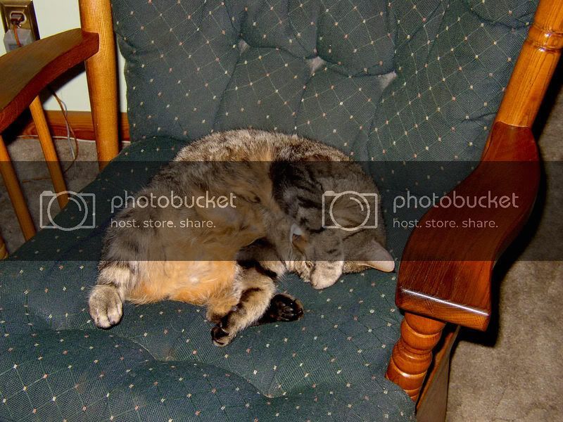 Pouncer51506.jpg