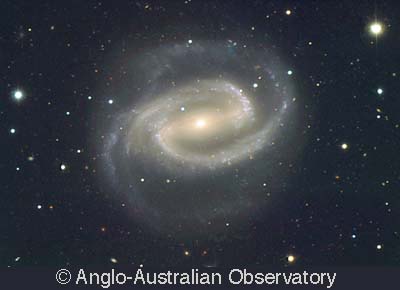 ngc1300_dfm.jpg