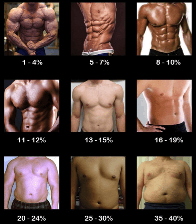 Measure-Body-Fat.png