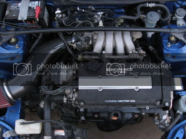 Picture016.jpg