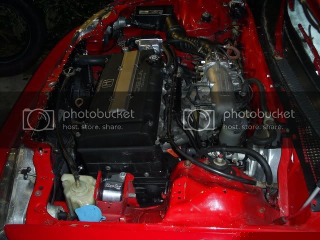SUC51091.jpg