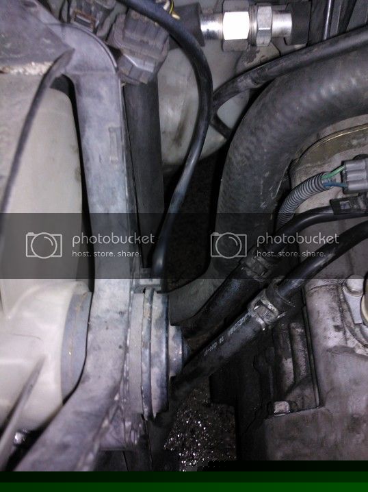 WP_000103_zps7247cf44.jpg