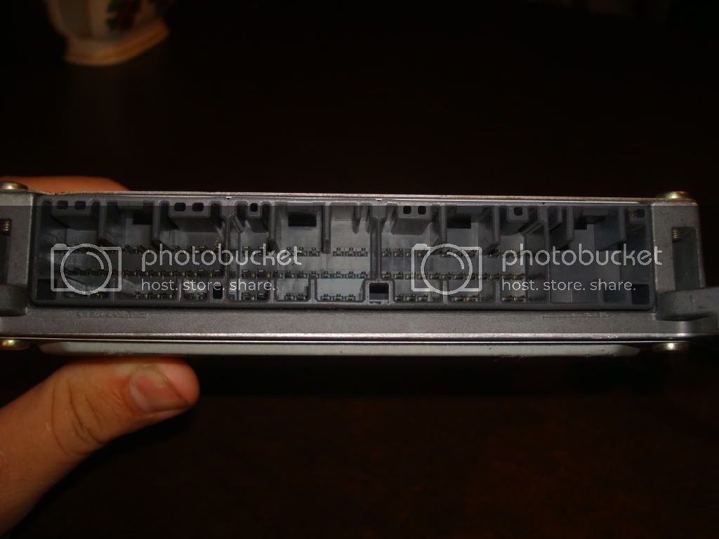 DSC01481-1.jpg