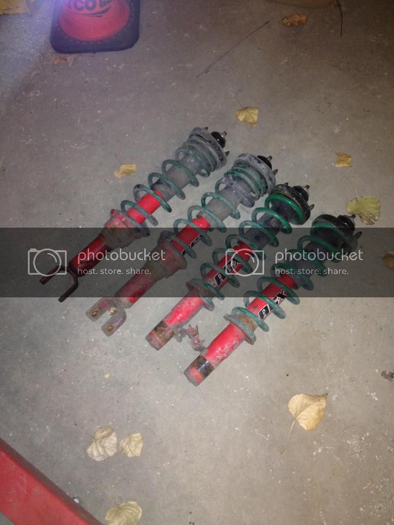 IMG_3322_zps5a597cc6.jpg