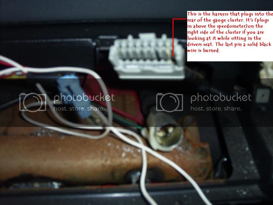 SUC50684a_zps8c25ff87.jpg