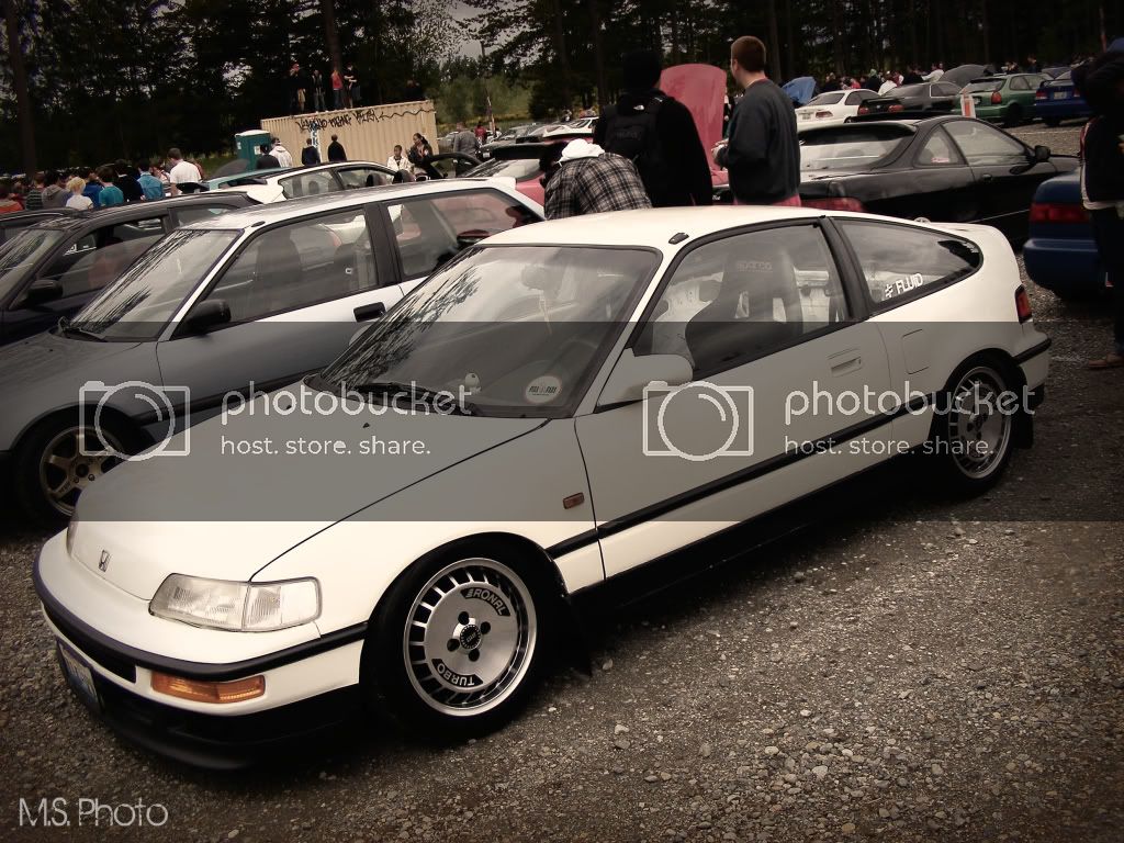 DSCF6099.jpg