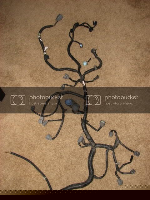 img3866h.jpg