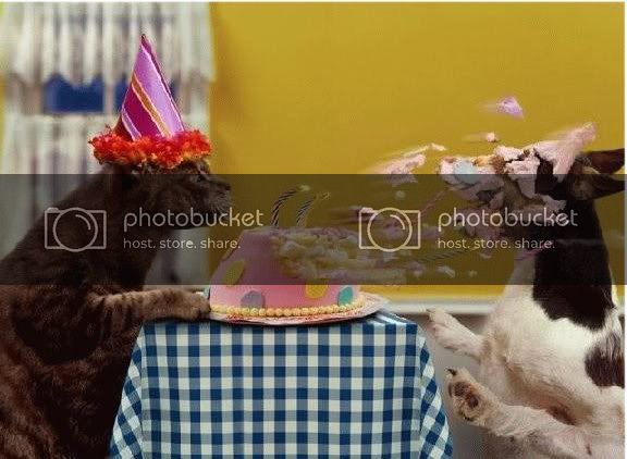 cat_birthday.jpg