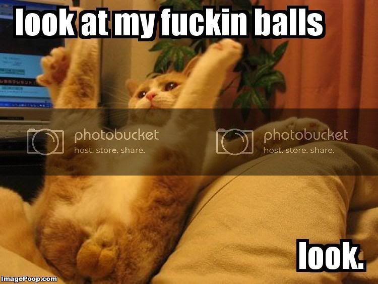 look_at_my_fuckin_balls.jpg
