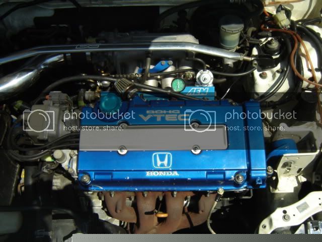 myb16a3.jpg
