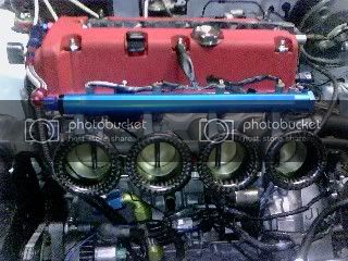 IMG00161.jpg