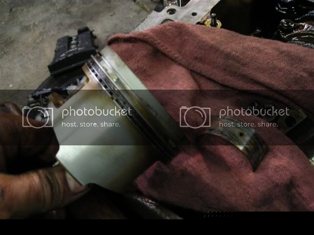 DSCN6913.jpg
