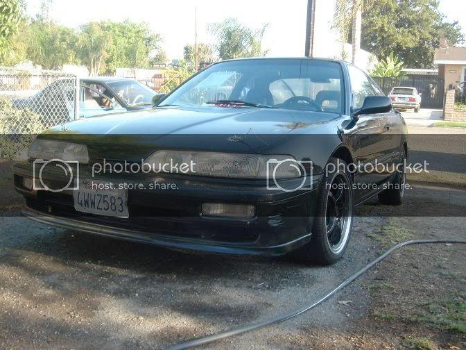 side1teggy.jpg