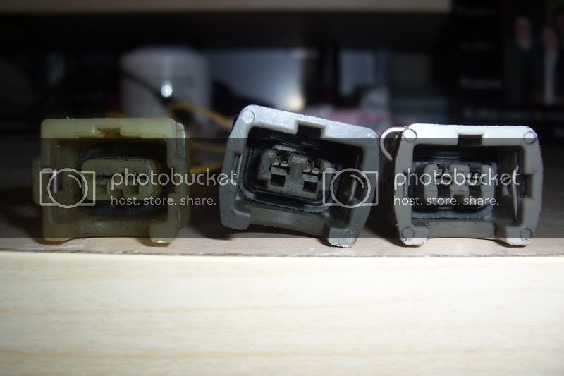 mypics013-1.jpg