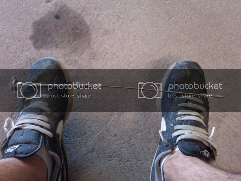 IMG00146-20100531-1349.jpg