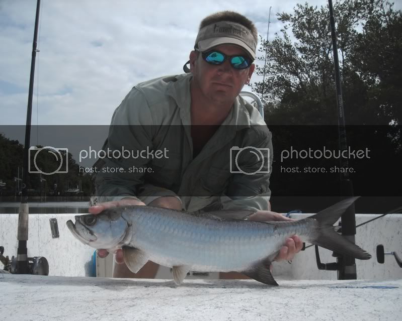 tarpon004.jpg